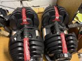 Bowflex Selecttech reguliuojami hanteliai - nuotraukos Nr. 2
