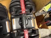 Bowflex Selecttech reguliuojami hanteliai - nuotraukos Nr. 3