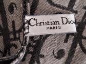 Dior šalis. - nuotraukos Nr. 2