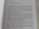 Stilistikos pratimai - nuotraukos Nr. 2