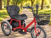 Elektrinis triratis skuteris T06b su pedalais - nuotraukos Nr. 2