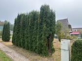Namas: Šilutė- Gintaro 2- asis takas nr., 8 - nuotraukos Nr. 11