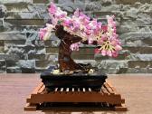 Lego Creator Bonsai medis 10281 - nuotraukos Nr. 4