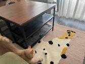 Ikea Fjällbo kavos staliukas, medžio masyvas - nuotraukos Nr. 3