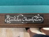 Bandes champion - nuotraukos Nr. 3