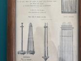 Bandes champion - nuotraukos Nr. 5