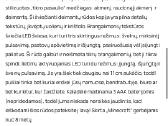 Stalinis šviestuvas Minecraft - nuotraukos Nr. 4