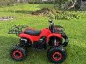Parduodamas 125cc 8kw keturratis - nuotraukos Nr. 8