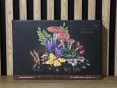 Konstruktorius - nuotraukos Nr. 15