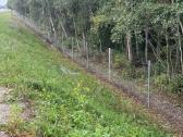 Tinklinės vielinės tvoros montavimas ir įrengimas - nuotraukos Nr. 2