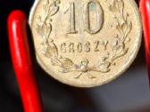 10 50 groszy Pinsku flotylli Lenkija - nuotraukos Nr. 14