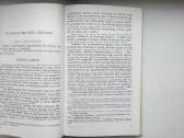 Radvila Našlaitėlis. Kelionė į Jeruzalę - nuotraukos Nr. 6
