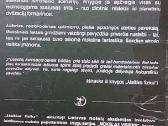 Ateities fizika - nuotraukos Nr. 7