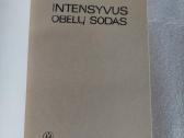 Intensyvus obelų sodas - nuotraukos Nr. 2