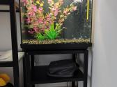35 l akvariumas - nuotraukos Nr. 4