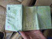 Pasat B5+ - nuotraukos Nr. 6