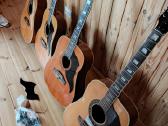 Vintazines Eko gitaros - nuotraukos Nr. 2