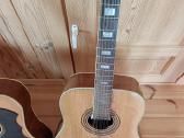 Vintazines Eko gitaros - nuotraukos Nr. 3