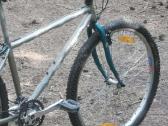 Marin Bobcat Trail 1994 - nuotraukos Nr. 5