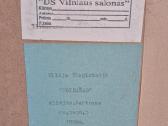 Parduodami paveikslai - nuotraukos Nr. 6