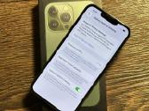 iPhone 13 Pro - nuotraukos Nr. 2