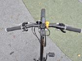 Scott Roxter 24" - nuotraukos Nr. 6