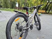 Scott Roxter 24" - nuotraukos Nr. 5