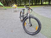 Scott Roxter 24" - nuotraukos Nr. 3
