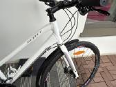 Scott cross 50 XL - nuotraukos Nr. 4