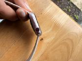 Apple Watch Series 9 – 42mm GPS + Lte – Pink Sand - nuotraukos Nr. 6