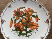 Royal Albert "The Queen Mother's - nuotraukos Nr. 2