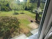 Parduodamas tvarkingas 1kambario butas - nuotraukos Nr. 5