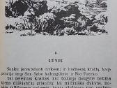 Tvirtoji ranka - nuotraukos Nr. 4