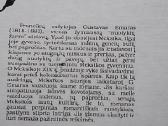 Tvirtoji ranka - nuotraukos Nr. 5