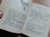 Sputnik partizana1942 knyga diversijos - nuotraukos Nr. 5