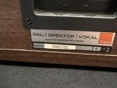 Dali spektor vokal - nuotraukos Nr. 2
