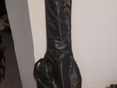 Gitara bosinė - nuotraukos Nr. 4