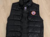 Canada goose liemene - nuotraukos Nr. 3