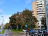 1 kambario butas Tuskulėnų trikampyje - nuotraukos Nr. 11