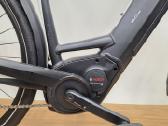 Pegasus Premio EVO 28er L 1x10s Shimano Deore - nuotraukos Nr. 5