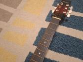 Gitara - nuotraukos Nr. 4