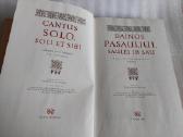 Dainos pasauliui, saulei ir sau - nuotraukos Nr. 2