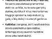 Kintamosios srovės mašinų bandymas - nuotraukos Nr. 6