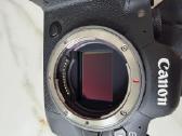 Canon EOS R6 + 70-200 L Rf 800 35 Macro - nuotraukos Nr. 13