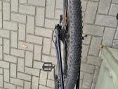 Scott Scub Cross 40 - nuotraukos Nr. 4