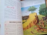 Knyga 2007m. Didieji pasaulio Mūšiai - nuotraukos Nr. 14