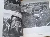 Knyga 1986m. Lietuvos fotografija (1981–1982) - nuotraukos Nr. 5