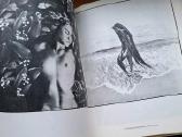 Knyga 1986m. Lietuvos fotografija (1981–1982) - nuotraukos Nr. 7