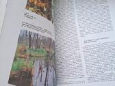 Knyga 1989 m. Lietuvos draustiniai - nuotraukos Nr. 6