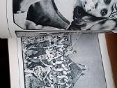 Knyga 1976m. Mūsų Kaunas - nuotraukos Nr. 9